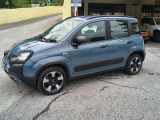 Fiat Panda 1.0 Firefly Hybrid City Cross - Unicoproprietario 