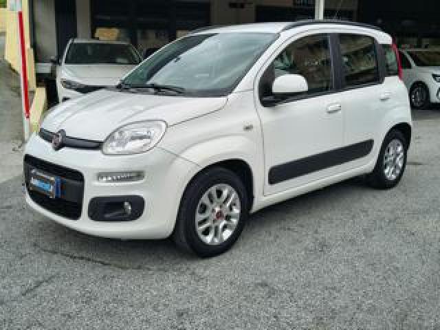 Fiat Panda 1.2 Lounge - Tagliandi Certificati 