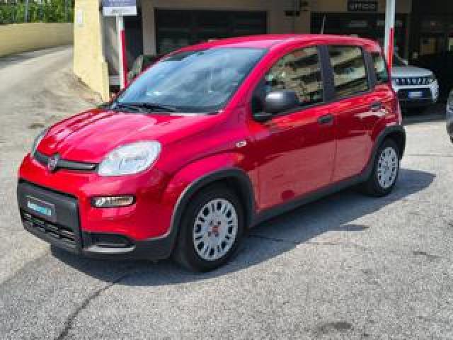Fiat Panda 1.0 Firefly Hybrid - Tagliandata Unicoproprietario 