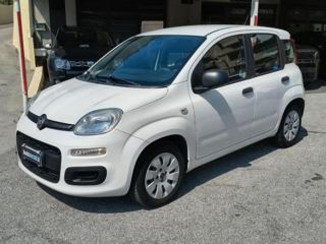 Fiat Panda 1.2 Pop - 5 Posti - Unicoproprietario Solo 44000km 