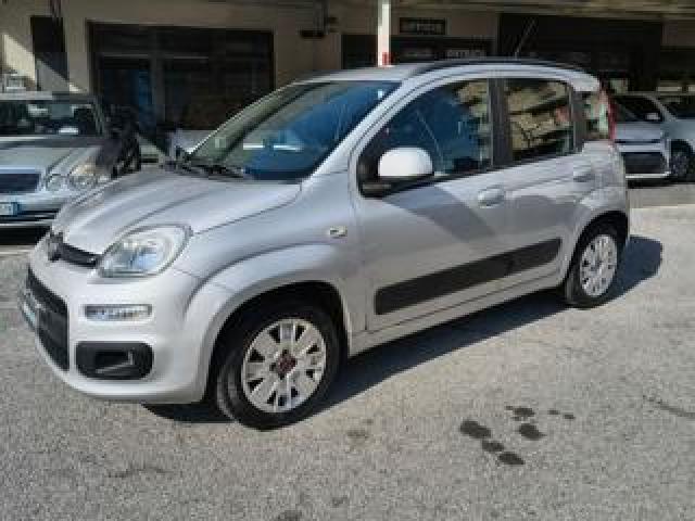 Fiat Panda 1.2 Lounge - Unicoproprietario - Km.66200 