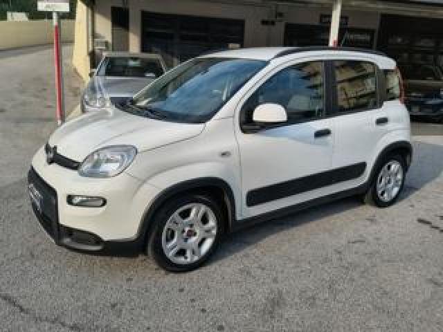 Fiat Panda 1.0 Hybrid City Life - Unicoproprietario Km 42000 