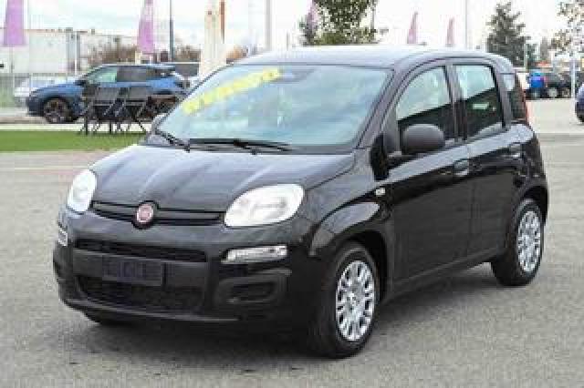 Fiat Panda 1.0 Firefly S&s Hybrid Icon 