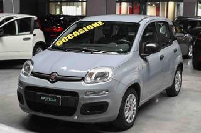 Fiat Panda 1.0 Firefly S&s Hybrid Gpl 