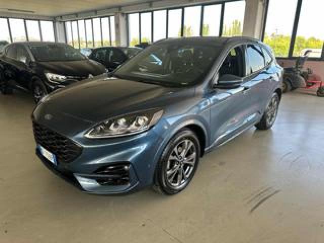 Ford Kuga 2.0 Ecoblue 120 Cv Aut. 2wd St-Line 