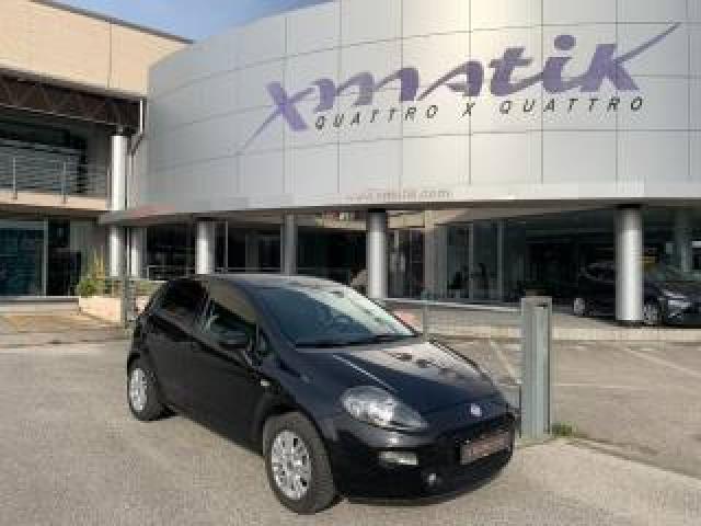Fiat Punto 1.2 8v 5 Porte Lounge Ok Neopatentati 