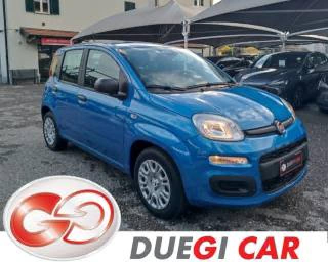 Fiat Panda 1.0 Firefly S&s Hybrid Icon 
