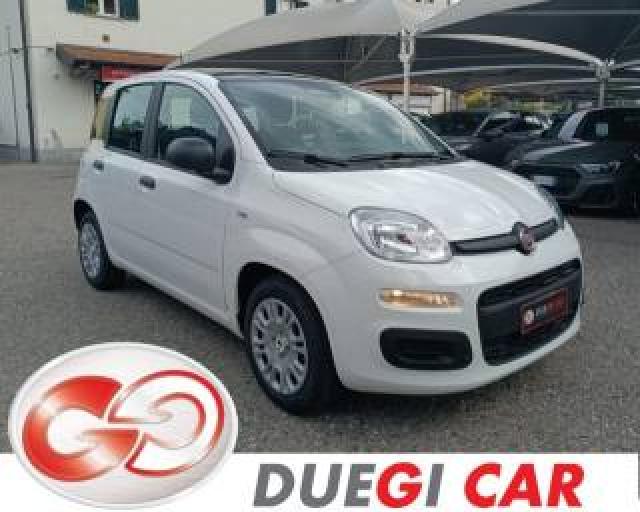 Fiat Panda 1.0 Firefly S&s Hybrid Icon  