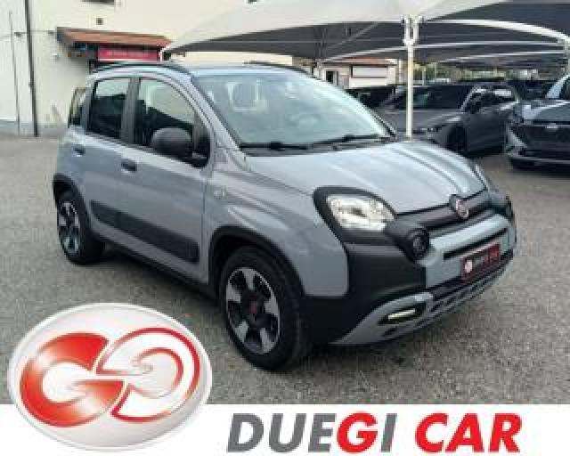 Fiat Panda Cross 1.0 Firefly S&s Hybrid 