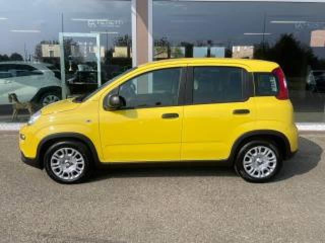 Fiat Panda 1.0 Firefly S&s Hybrid Pandina 