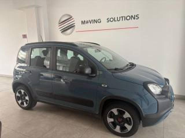 Fiat Panda Cross 1.0 Firefly S&s Hybrid Unico Prop+gomme Invern. 