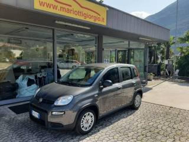 Fiat Panda 1.0 Firefly S&s Hybrid Ok Neopatentati-  - 