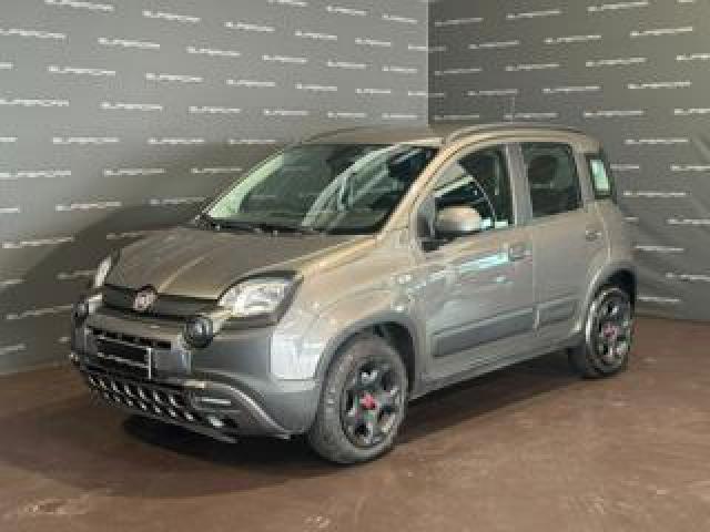 Fiat Panda Cross 1.0 Firefly S&s Hybrid 