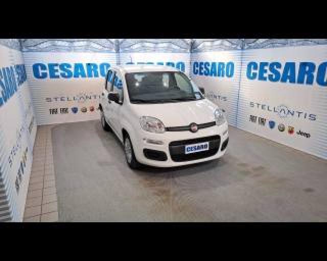 Fiat New Panda 1.0 Firefly Hybrid 70cv 5 Posti 