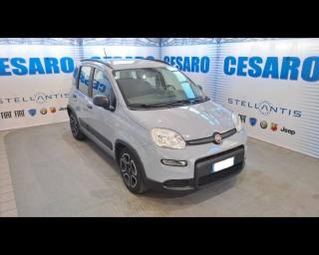 Fiat New Panda 1.0 Firefly Hybrid 70cv City Life S&s 