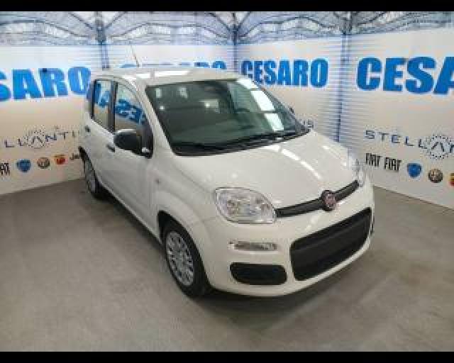 Fiat Pandina 1.0 Firefly Hybrid Pop S&s 65cv 