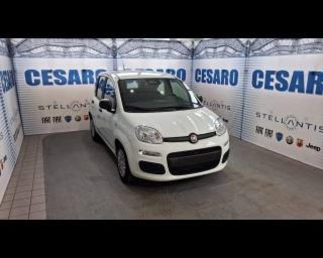 Fiat Pandina 1.0 Firefly Hybrid Pop S&s 65cv 