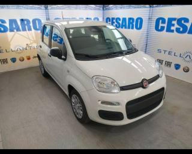 Fiat Panda 1.0 Firefly Hybrid Icon S&s 70cv 5p.ti 