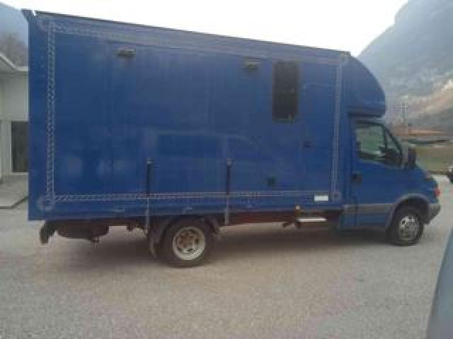 Iveco Daily 35c12 2.3 Hpi Trasporto Cavalli Patente B !!! 
