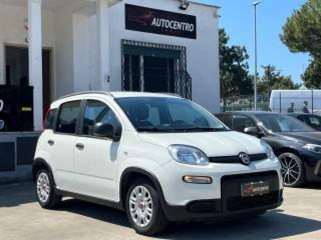 Fiat Panda 1.0 Firefly S&s Hybrid Prezzo Reale! 