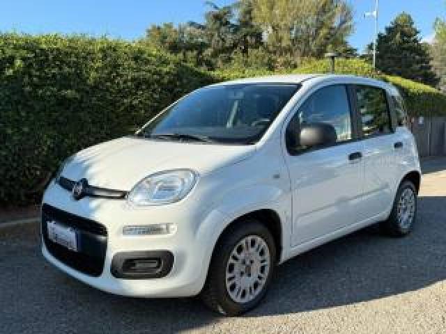 Fiat Panda 1.2 Easy Neopatentati - Clima - Radio - Cd 