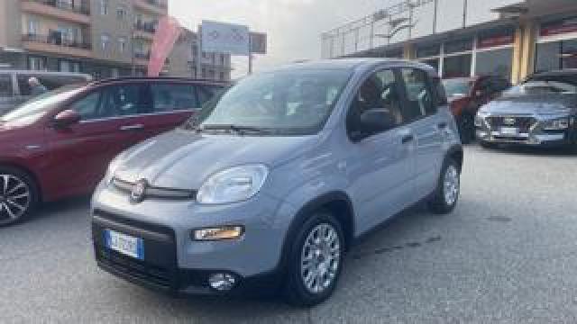 Fiat Panda 1.0 City Life 