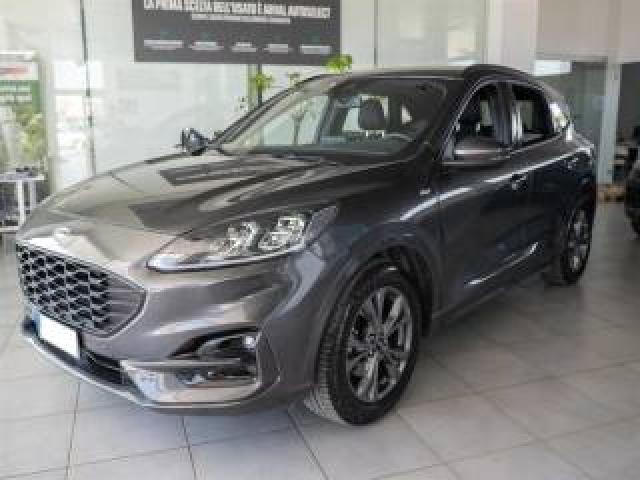 Ford Kuga 1.5 Tdi 120 Cv St-Line X Autom. 36 Mesi Di Garanzi 