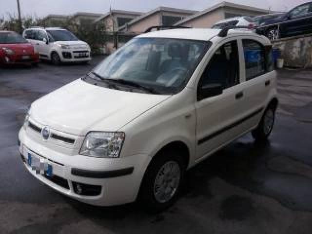 Fiat Panda Civitanova M. - Neopatentati - 1.3 Mjt 16v Dynamic 