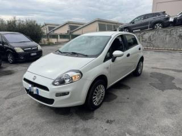 Fiat Punto 1.4 8v 5 Porte Natural Power  