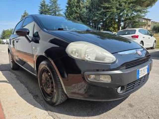 Fiat Punto Evo 1.3 Mjt 75 Cv 5 Porte Dynamic 