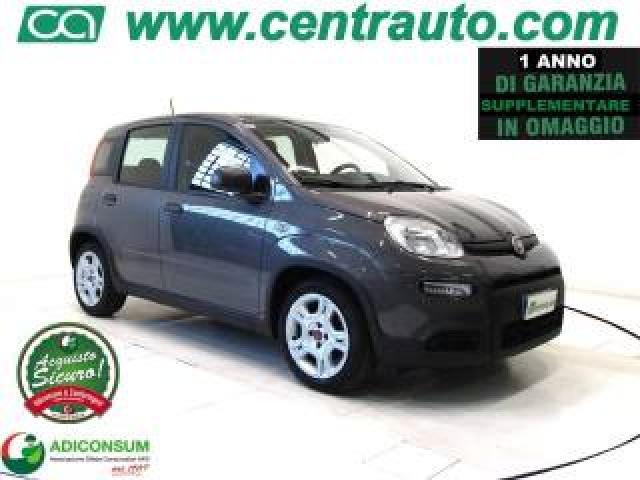 Fiat Panda 1.0 Firefly Hybrid City Life  *ok Neopa.* 