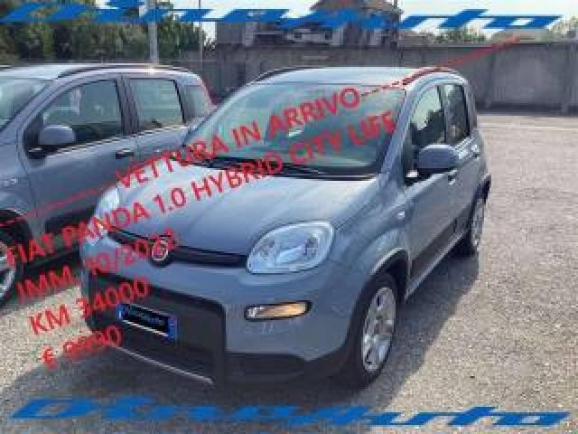 Fiat Panda Panda 1.0 Firefly Hybrid City Life S----Vettura In 