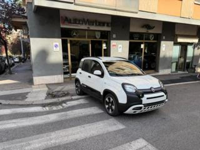 Fiat Panda 1.0 Firefly S&s Hybrid Pandina Cross-Navi-Carplay 
