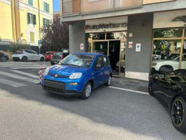 Fiat Panda 1.0 Firefly Hybrid -Pandina Nuovo Mod 2025 