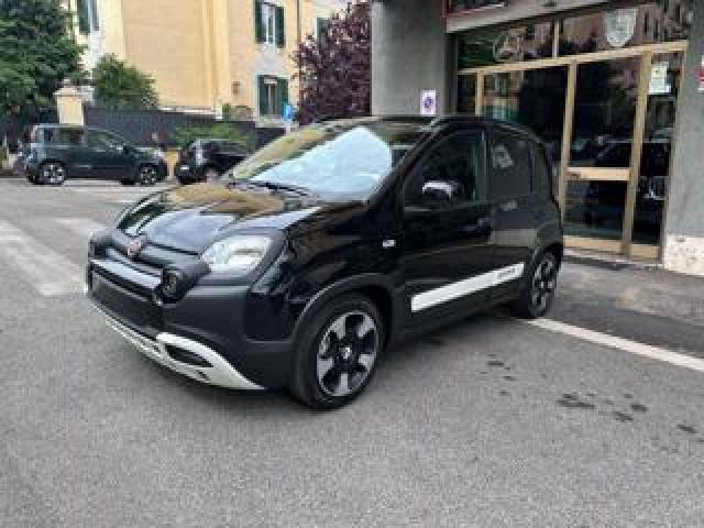 Fiat Panda 1.0 Firefly S&s Hybrid Pandina Cross-Navi-Carplay 
