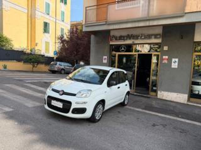Fiat Panda 1.0 Firefly S&s Hybrid Easy-Nuovissima 