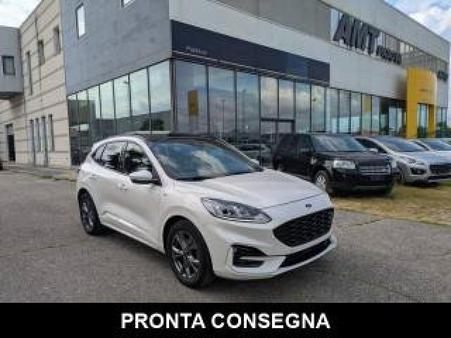 Ford Kuga 1.5 Ecoblue 120 Cv Aut.  St-Line +tetto P. 