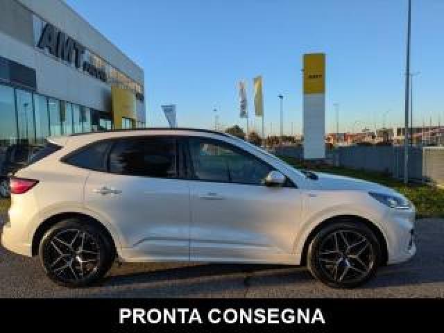 Ford Kuga 1.5 Ecoblue 120 Cv Aut.  St-Line +tetto P. 