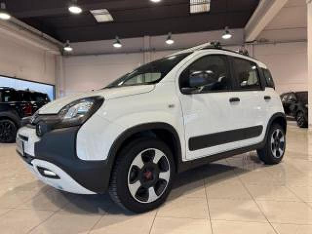 Fiat Panda 1.0 Firefly S&s Hybrid City Cross Ok Neopatentati 