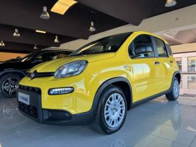Fiat Panda 1.0 Firefly S&s Hybrid 70cv Prezzo Reale 2.300 Km! 