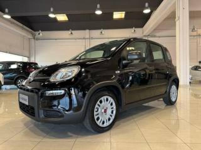 Fiat Panda 1.0 Firefly S&s Hybrid Soli 5.300 Km Prezzo Reale 