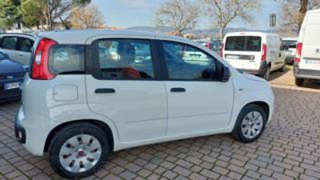Fiat Panda 1.2 Easy  Ben Tenuta 5 Posti  Euro 6b 