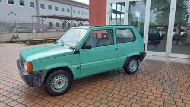 Fiat Panda 1ª Serie 1100 I.e. Cat Young 