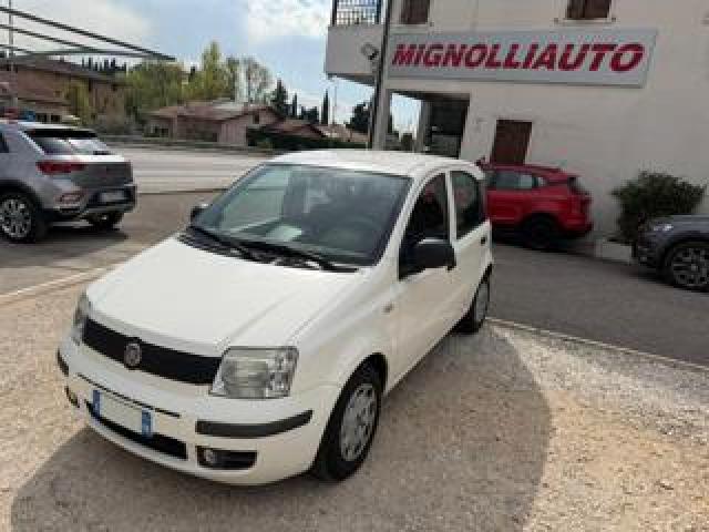 Fiat Panda 1.2 Dynamic Ok Neopatentati 