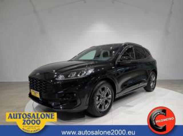 Ford Kuga 1.5 Ecoblue 120 Cv Aut. 2wd St-Line Prezzo Reale 