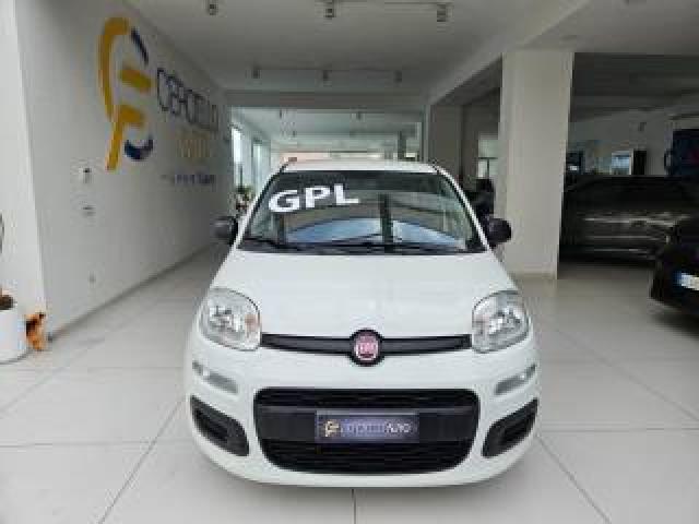 Fiat Panda 1.2 Easypower Gpl Da ?119,00 Mensili  