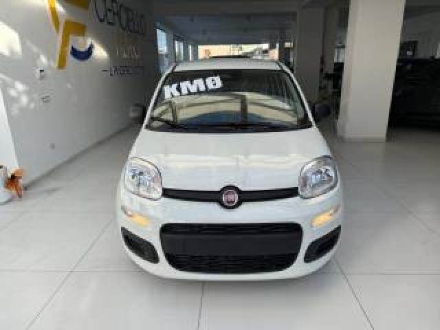 Fiat Panda 1.0 Firefly S&s Hybrid Pop Da ?139,00 Mensili  