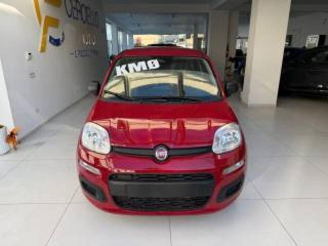 Fiat Panda 1.0 Firefly S&s Hybrid Pop Da ?139,00 Mensili  