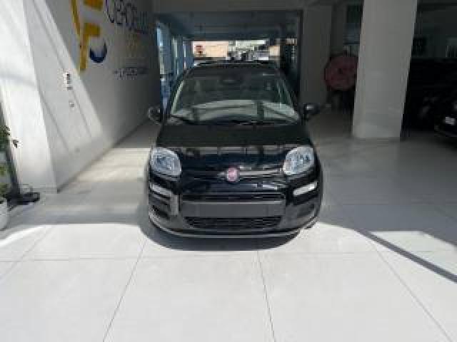 Fiat Panda 1.0 Firefly S&s Hybrid Icon Tua Da ?149,,00 