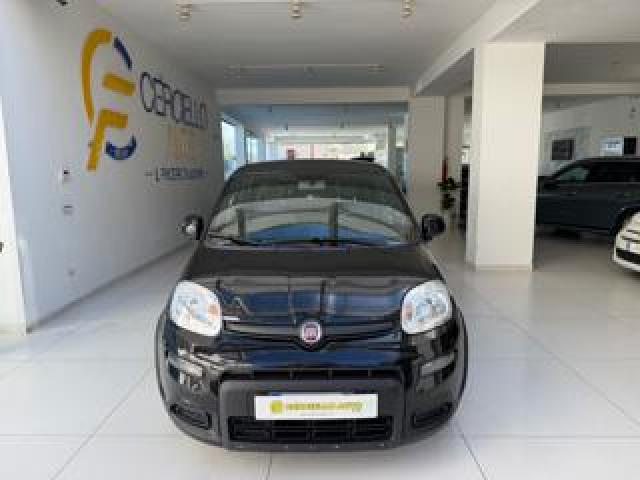 Fiat Panda 1.0 Firefly S&s Hybrid Sport Tua Da ?139,00 Mensil 
